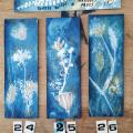 Barbe bleue 24 25 26