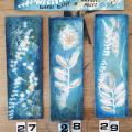 Barber bleue 27 28 29